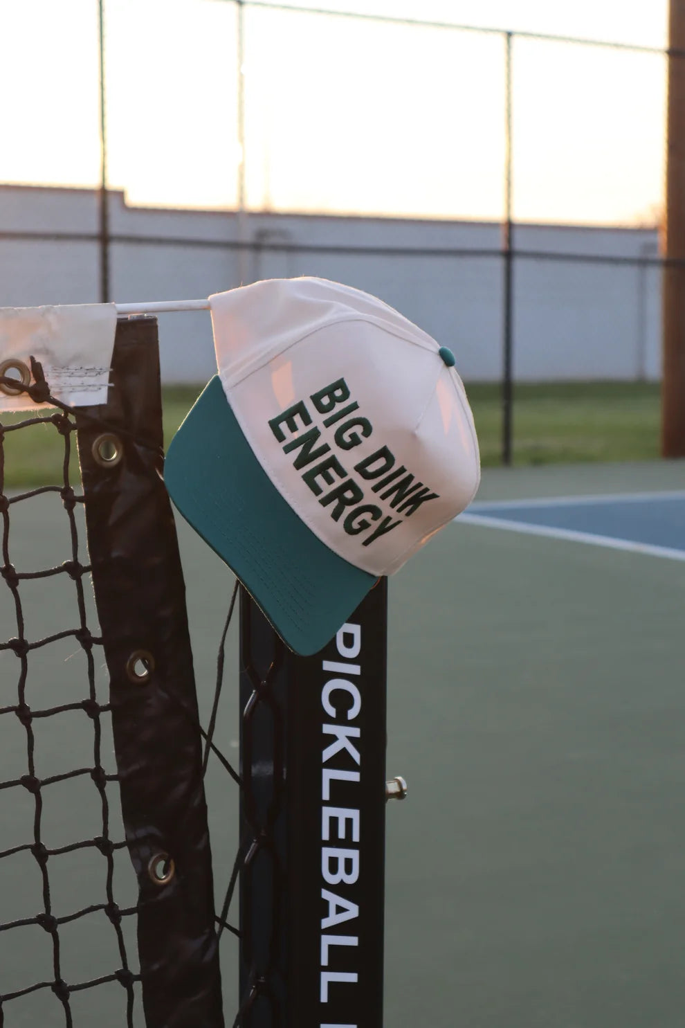 Embroidered Big Dink Energy Baseball Cap