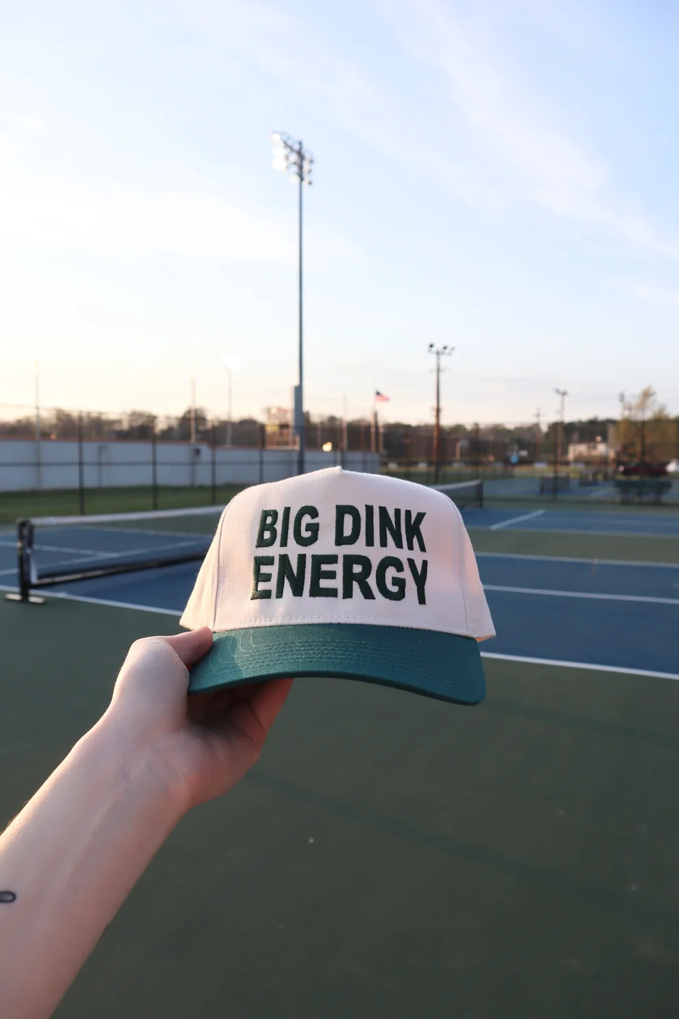 Embroidered Big Dink Energy Baseball Cap