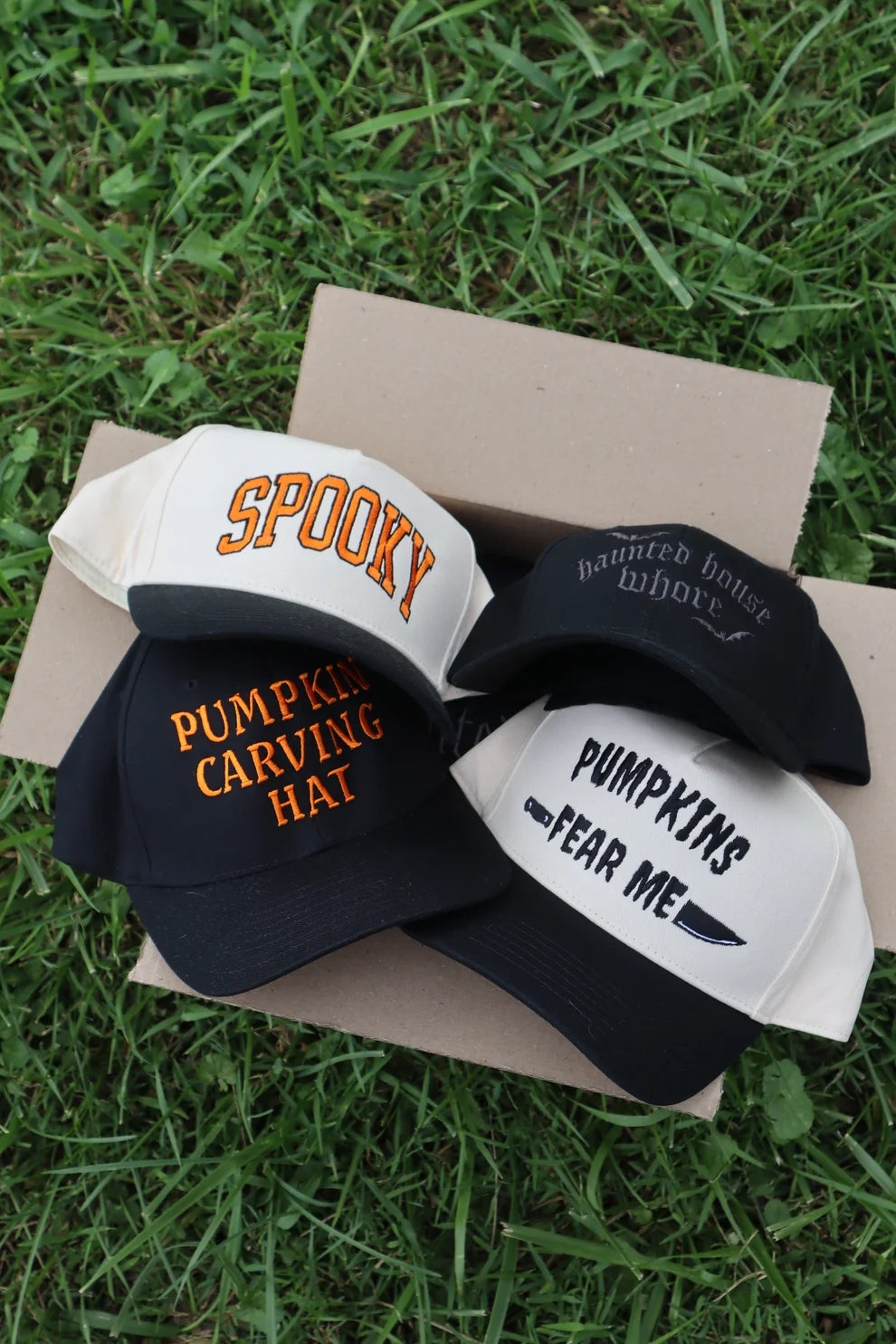 Embroidered Haunted House Who Baseball Cap