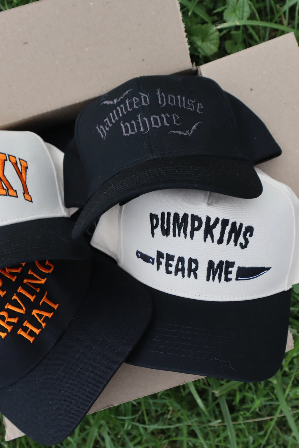 Embroidered Haunted House Who Baseball Cap