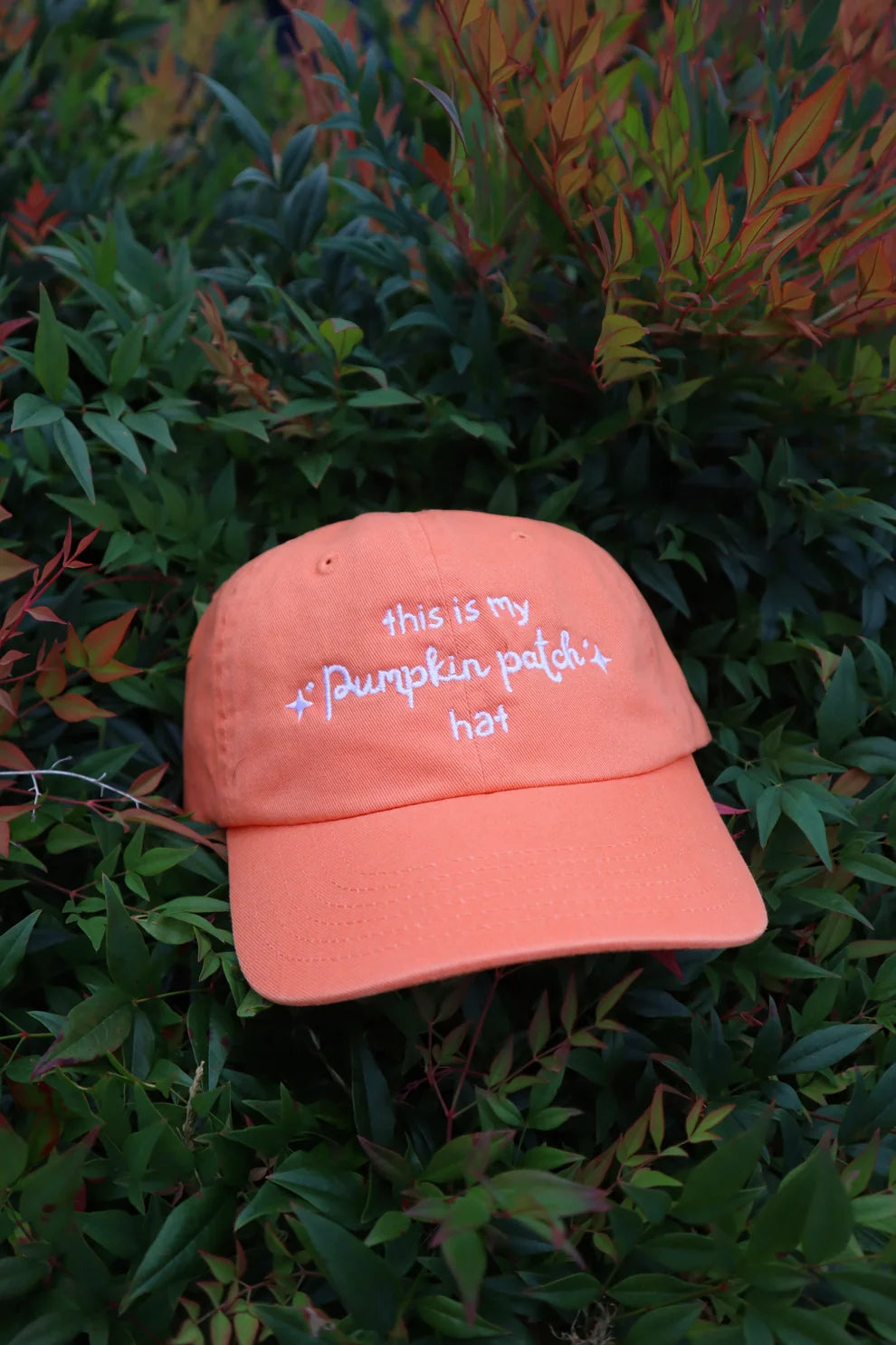 Embroidered This Is My Pumpkin Patch Hat