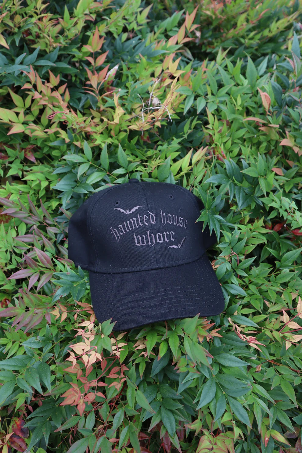 Embroidered Haunted House Who Baseball Cap