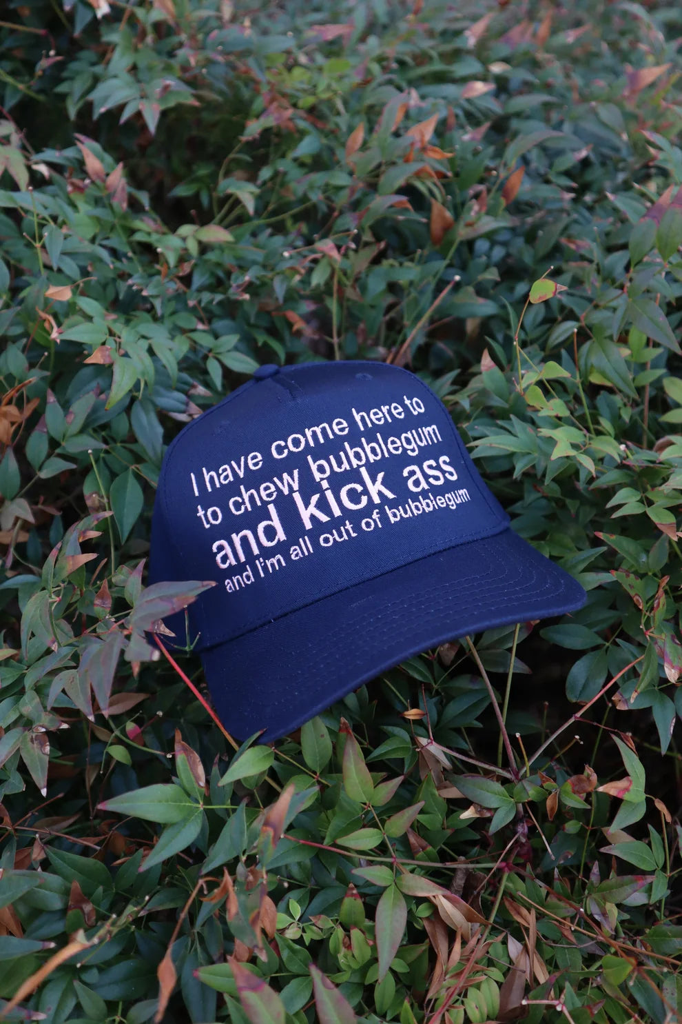 Embroidered I Have Come Here to Chew Bubble Gum Baseball Cap