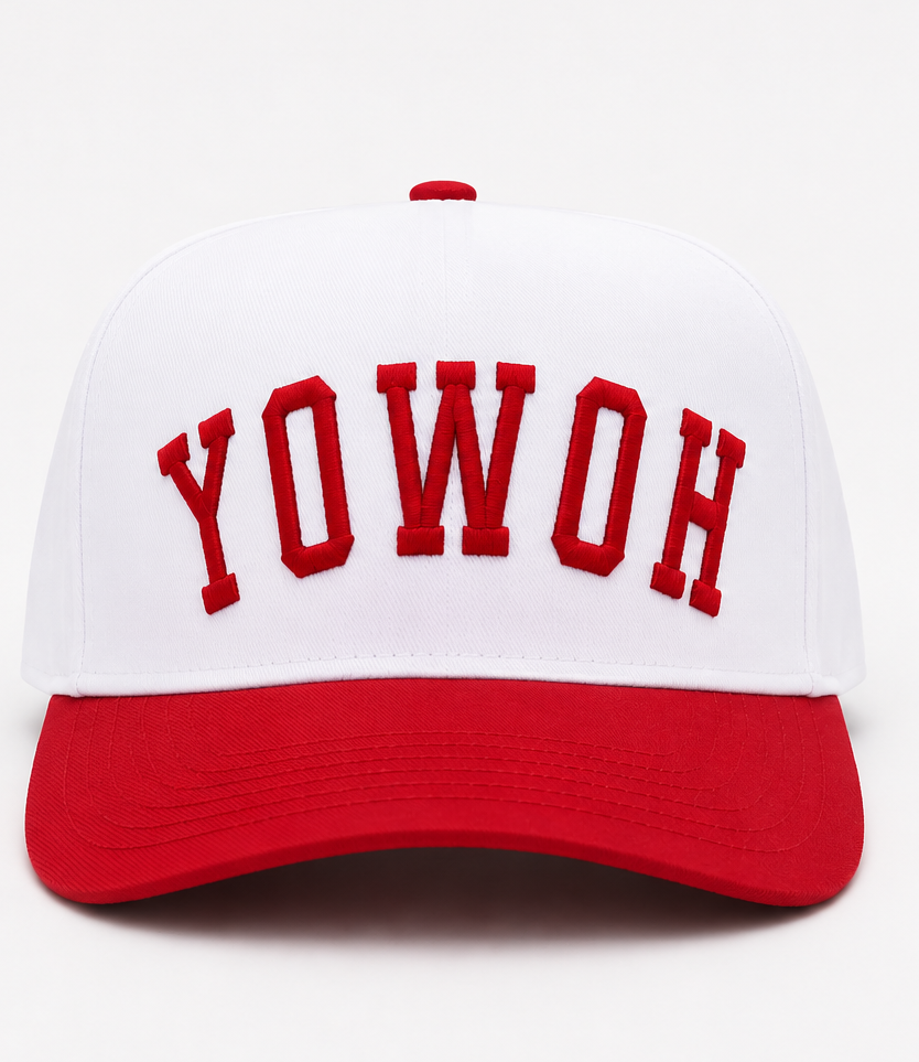 Embroidered Backwards Howdy Baseball Cap