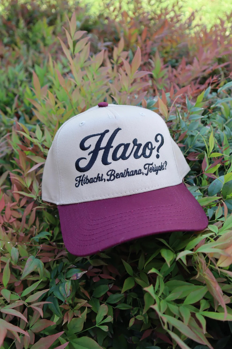Embroidered Haro? Baseball Cap