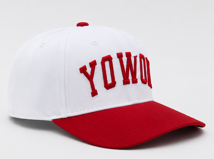 Embroidered Backwards Howdy Baseball Cap