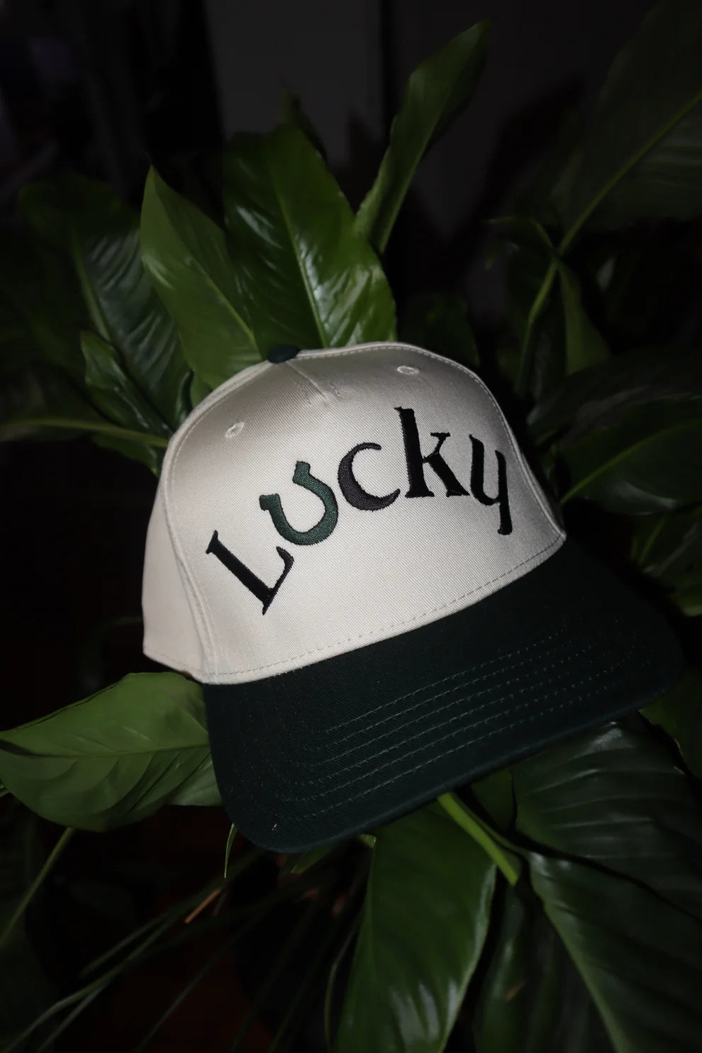 Embroidered Lucky Horseshoe Baseball Cap