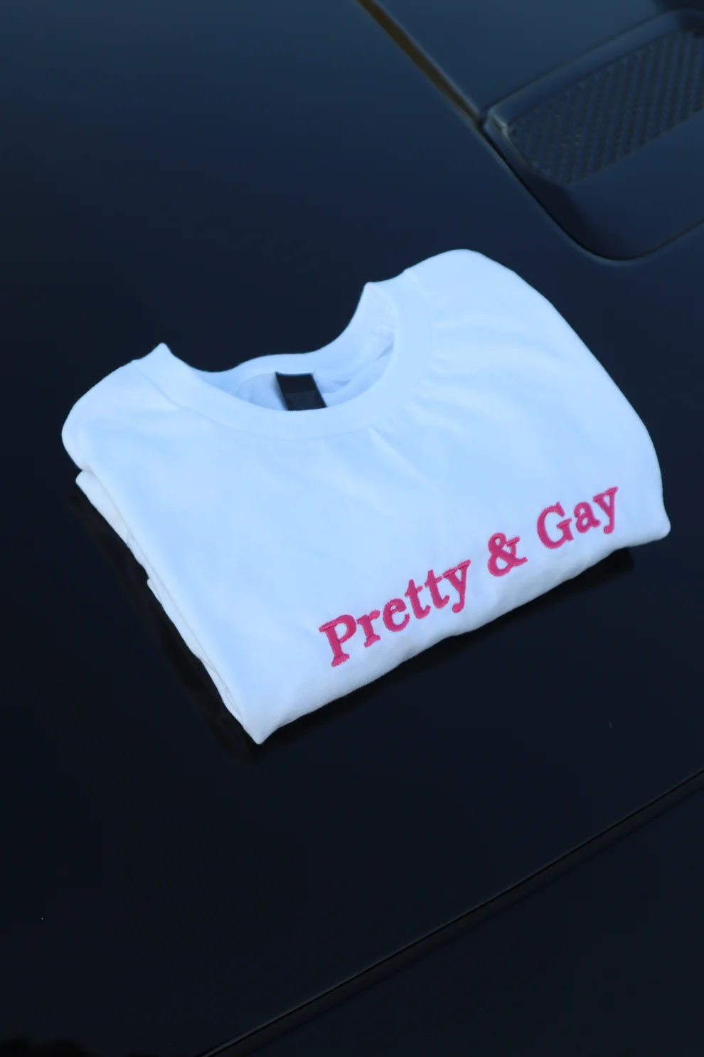 Embroidered Pretty & Gay Baby Tee