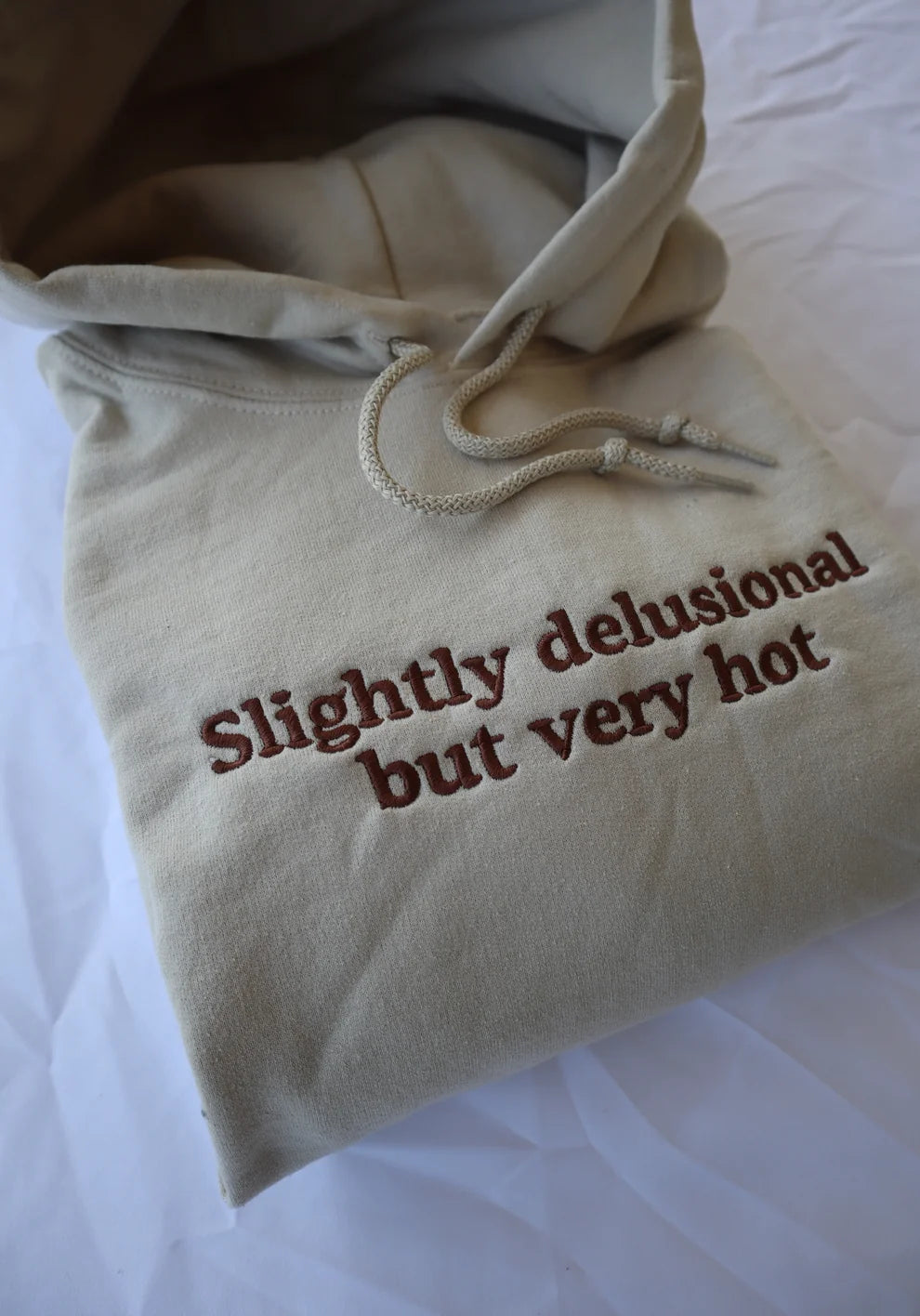 Embroidered Slightly Delusional But Very Hot Crewneck or Hoodie