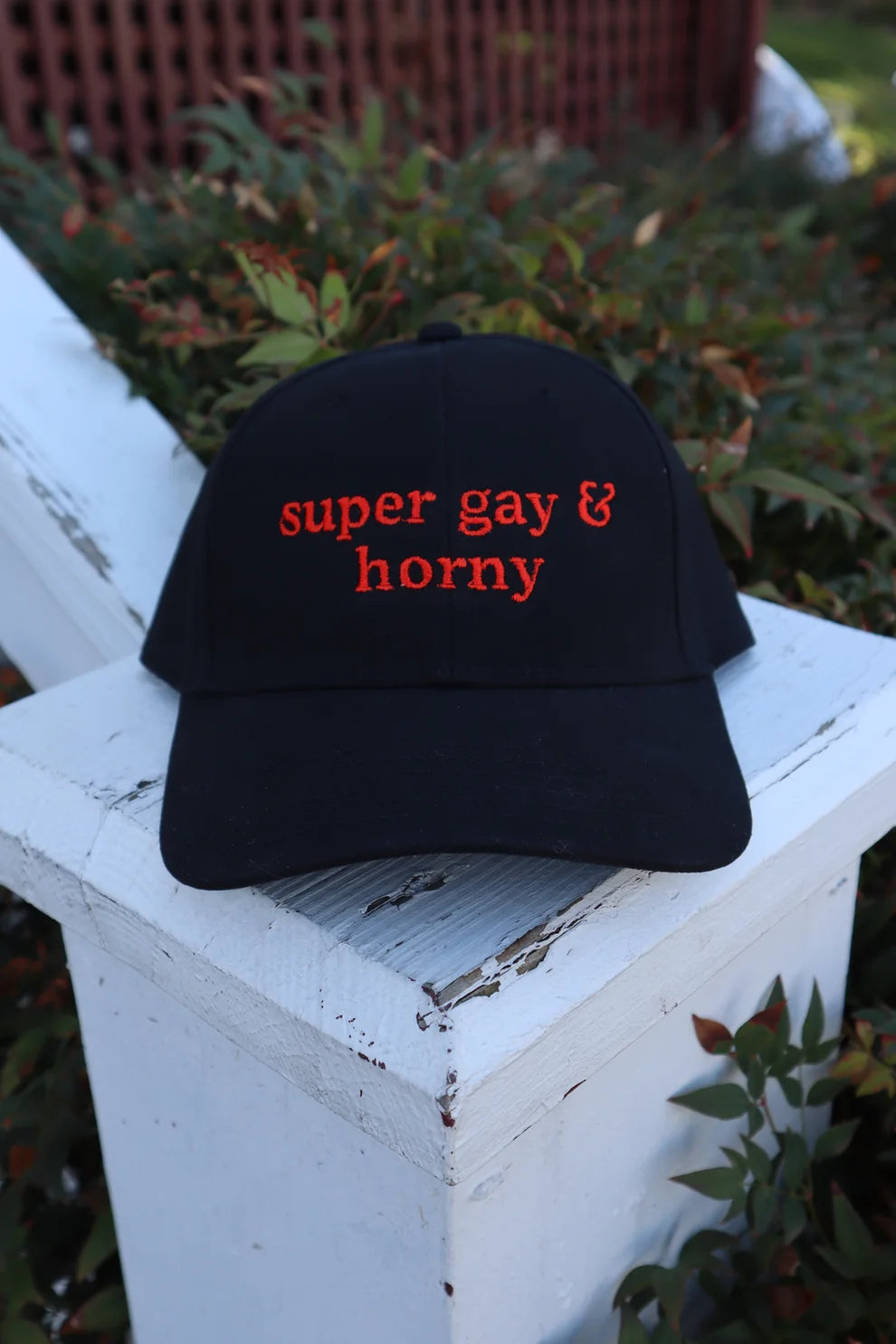 Embroidered Super Gay & Horn Baseball Cap
